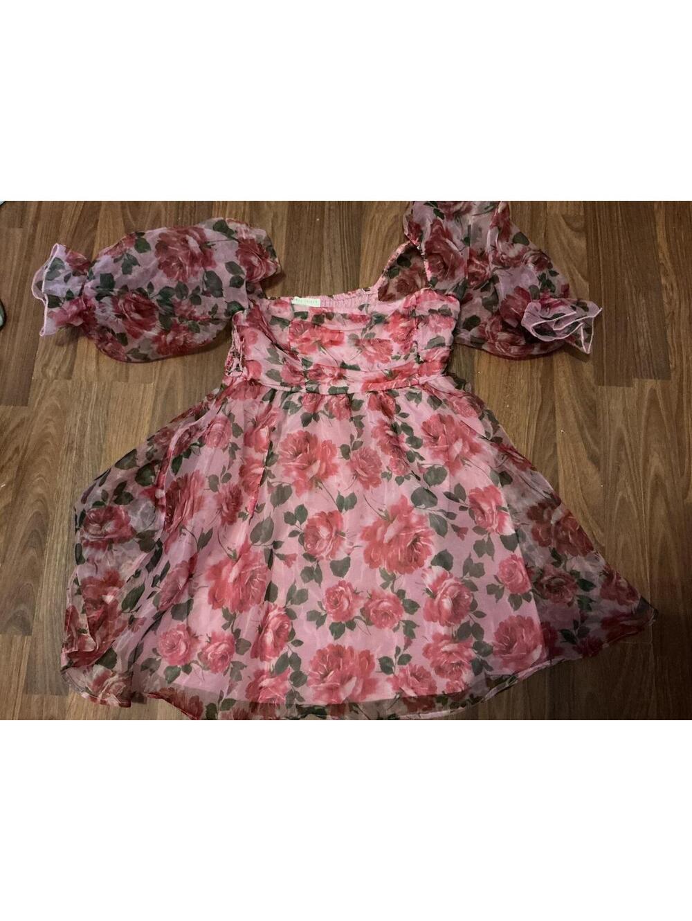 Pink Floral Puff Sleeve Fit and Flare Dress with Sheer Overlay